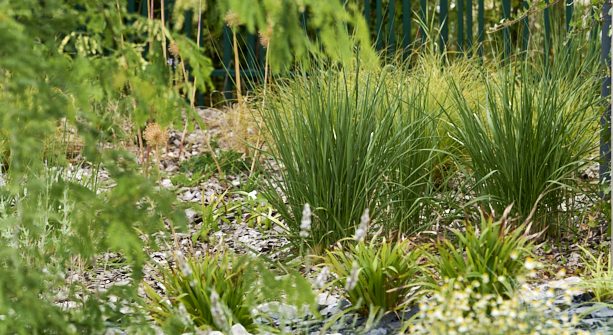 Horizon Espaces Verts plantations