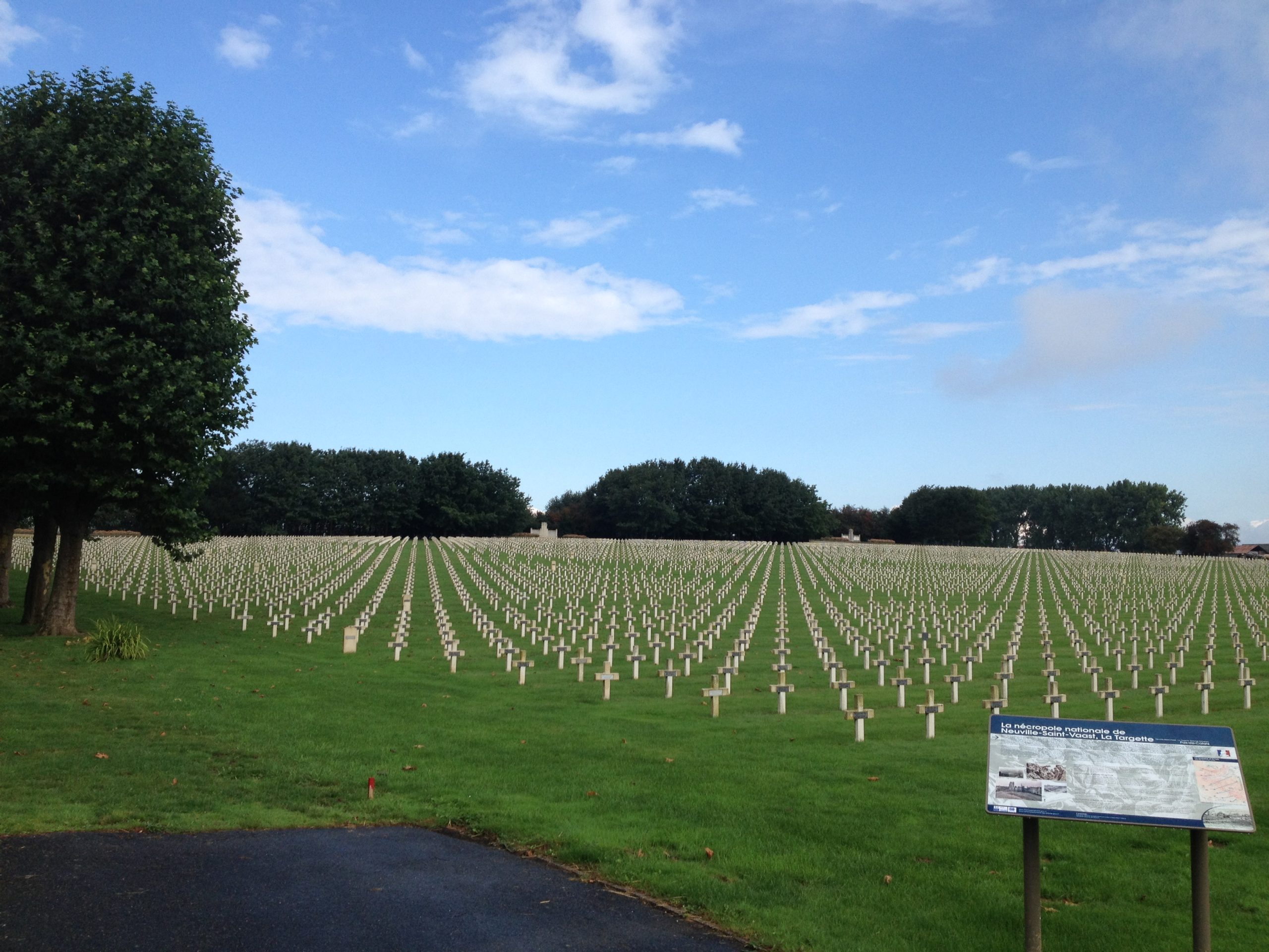 Pourquoi engazonner les cimetières ? Une réponse paysagère et durable