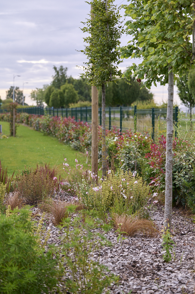 horizon espaces verts nouveau site arques 9