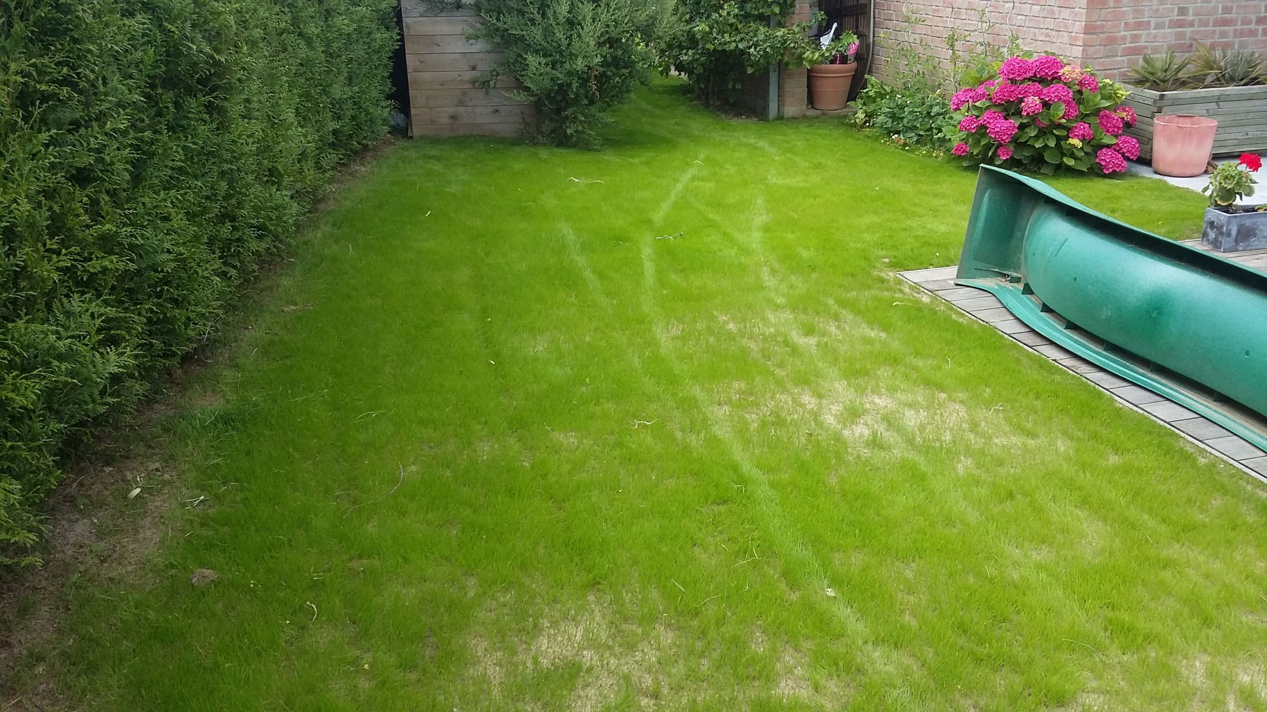 engazonnement horizon espaces verts 1 scaled