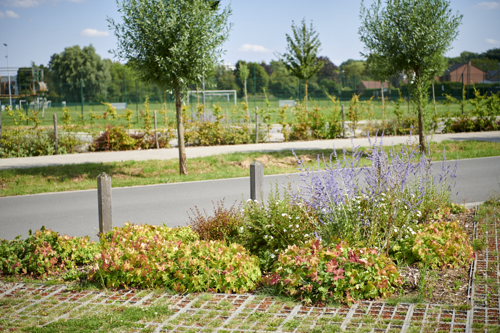 Saint Martin Lez Tatinghem Amenagement 4