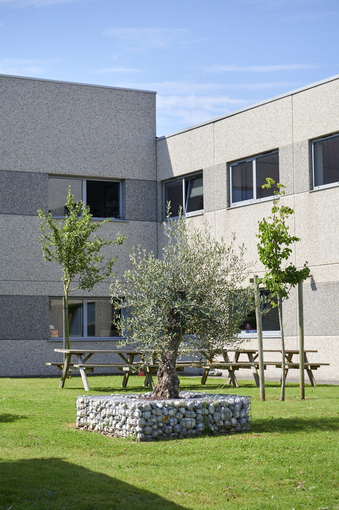 horizon espaces verts craywick 6