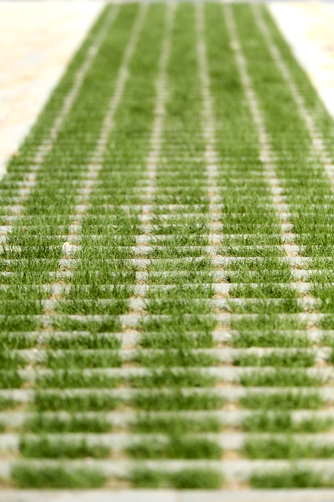 Horizon Espaces Verts prestation entrées allées