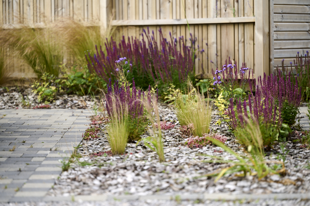 horizon espaces verts-arques