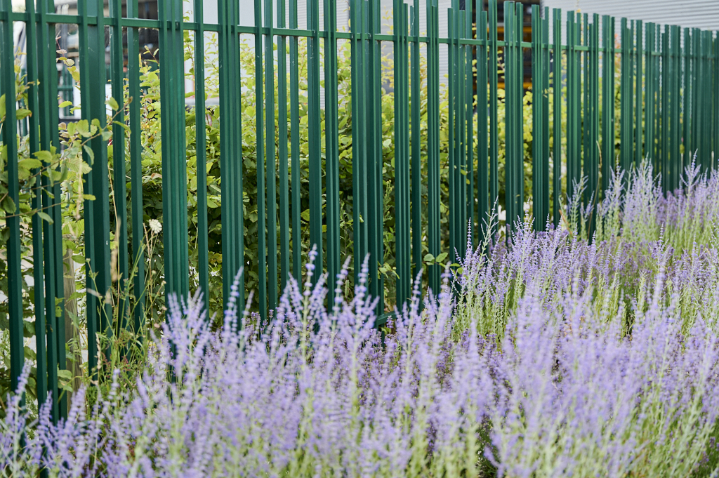 horizon espaces verts nouveau site arques 5