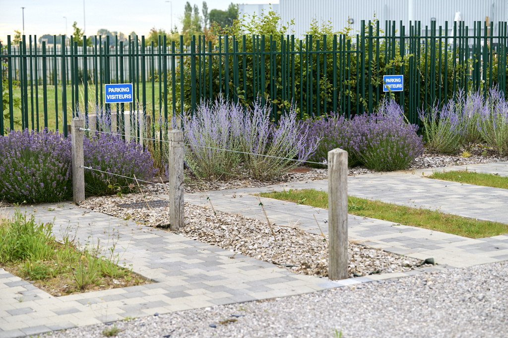 horizon espaces verts nouveau site arques 6