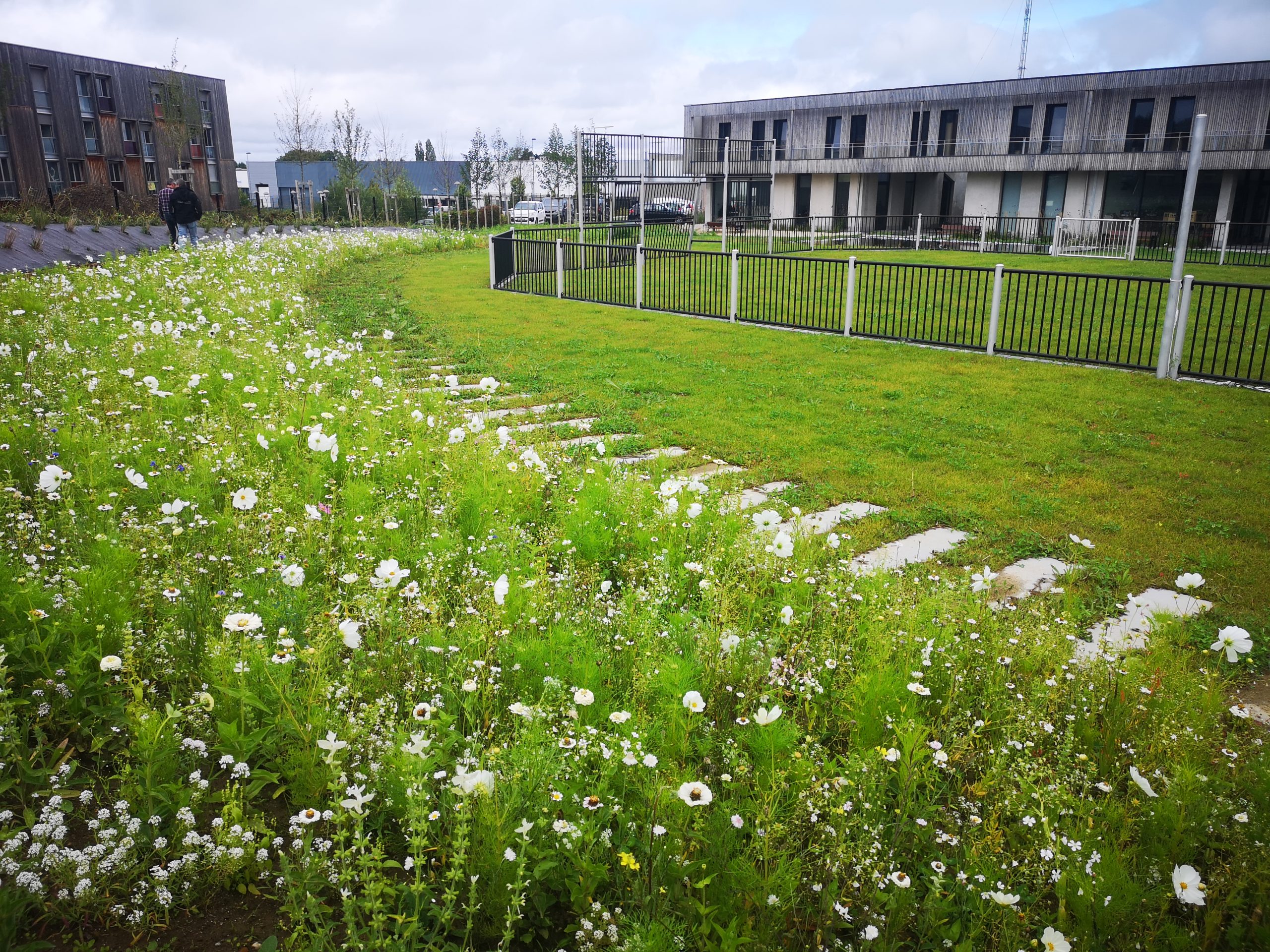 horizon espaces verts sdis 3 scaled