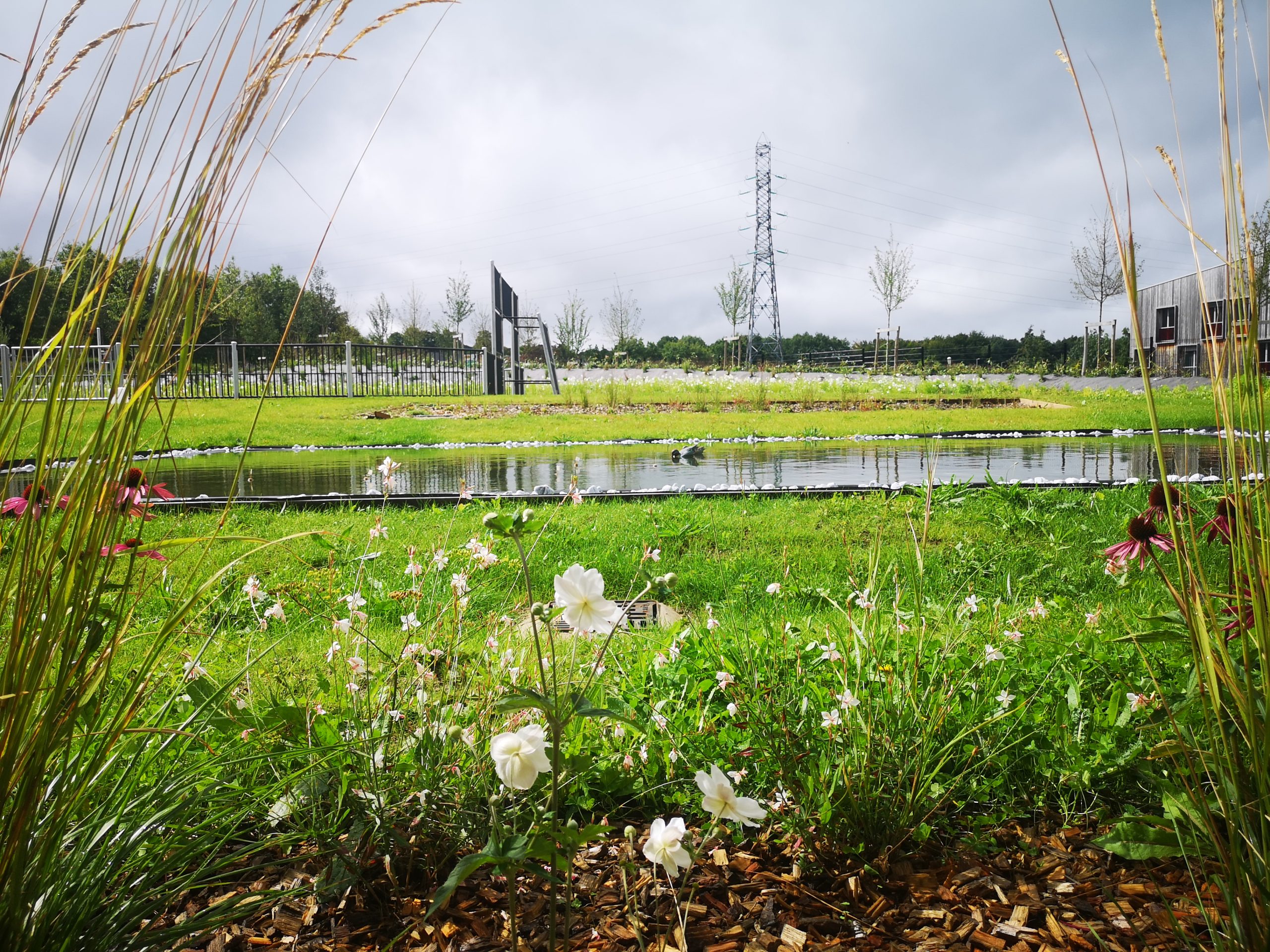 horizon espaces verts sdis 4 scaled