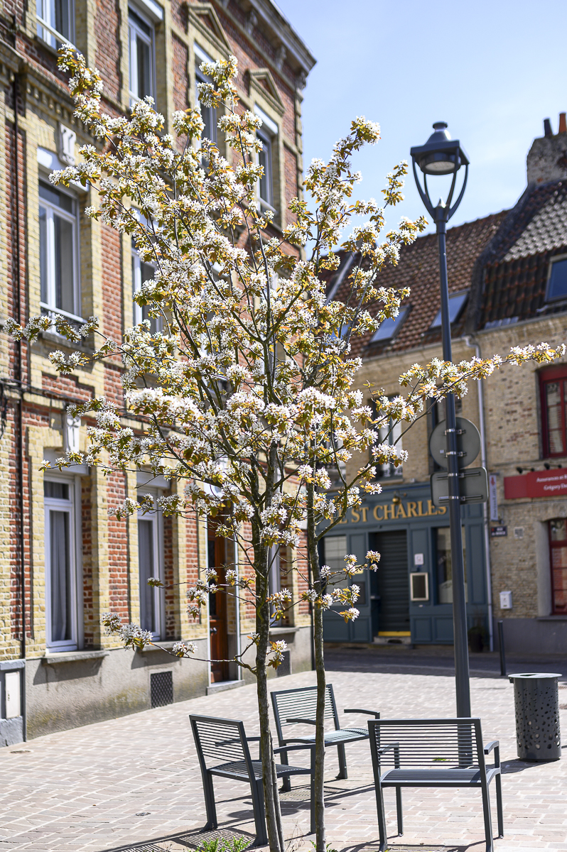 horizon espaces verts amenagement 3 places saint omer 1