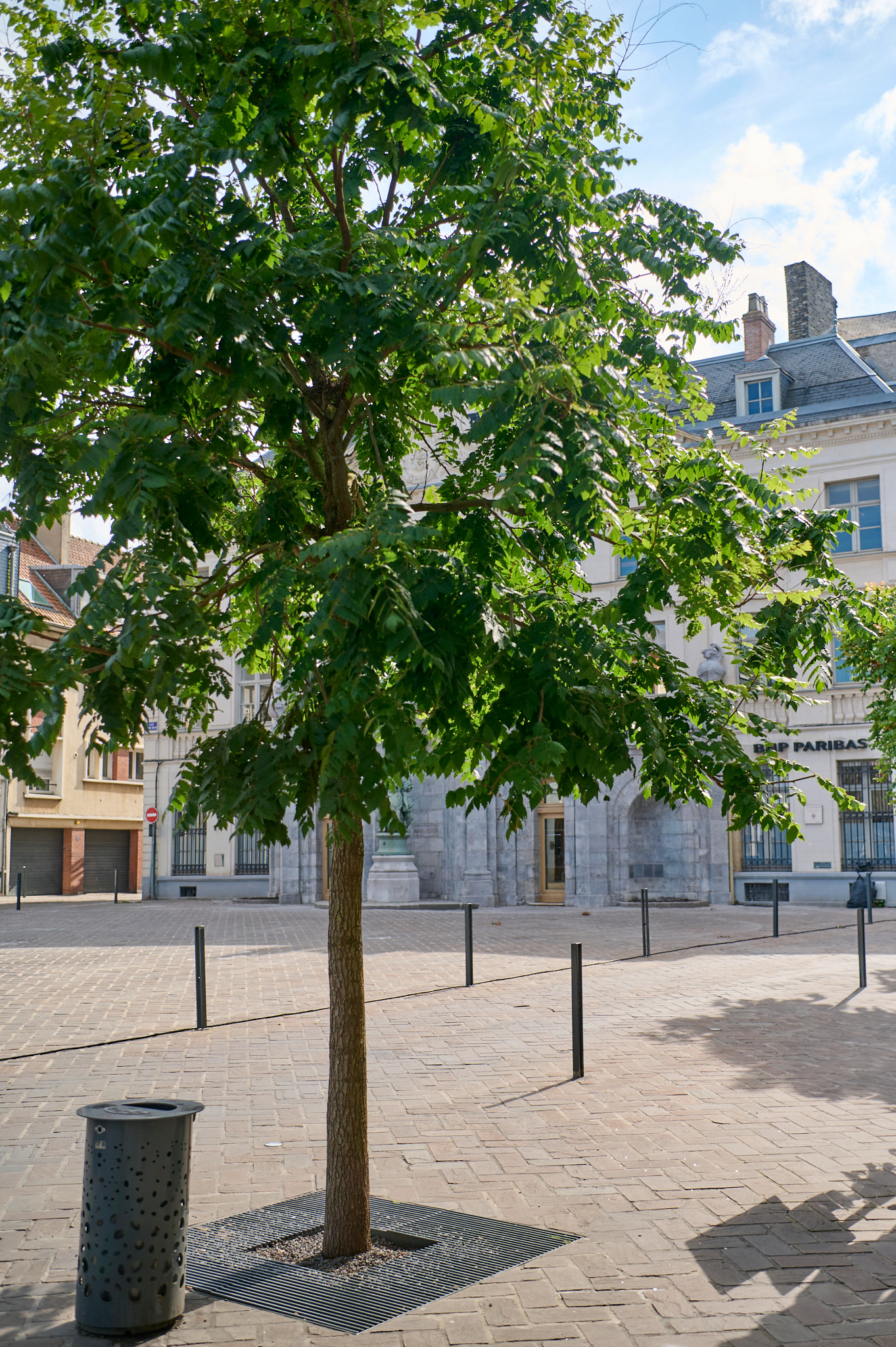 horizon espaces verts amenagement 3 places saint omer 4