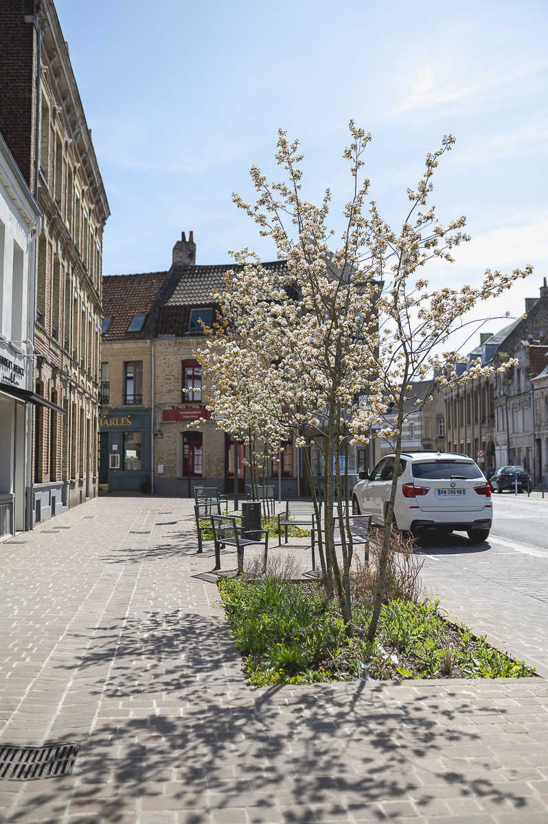 horizon espaces verts amenagement 3 places saint omer