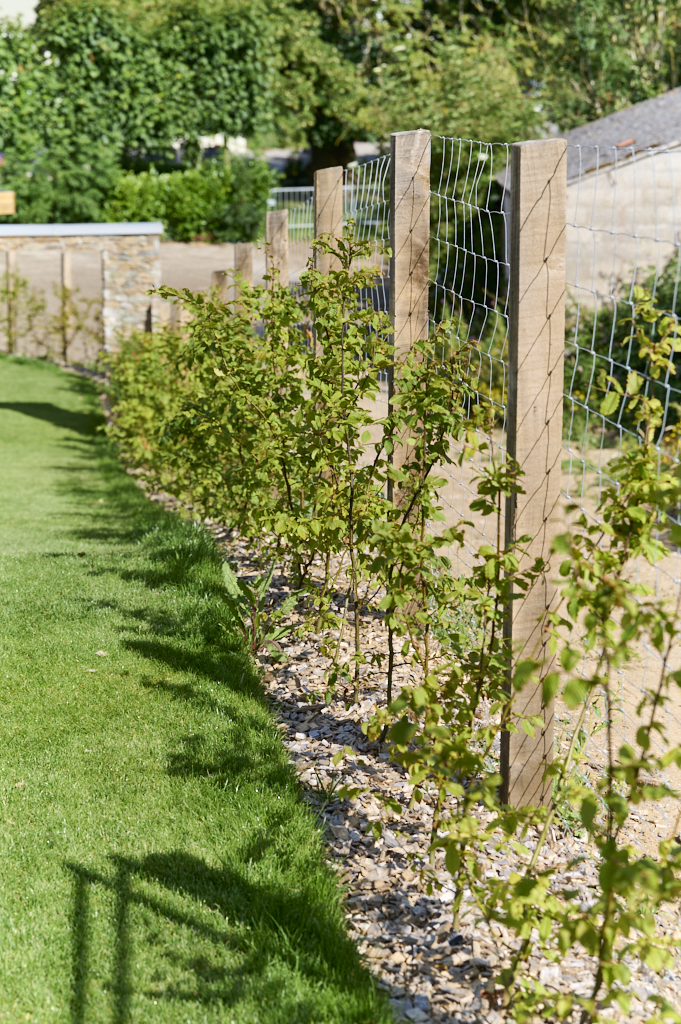 Horizon Espaces Verts prestation de plantations