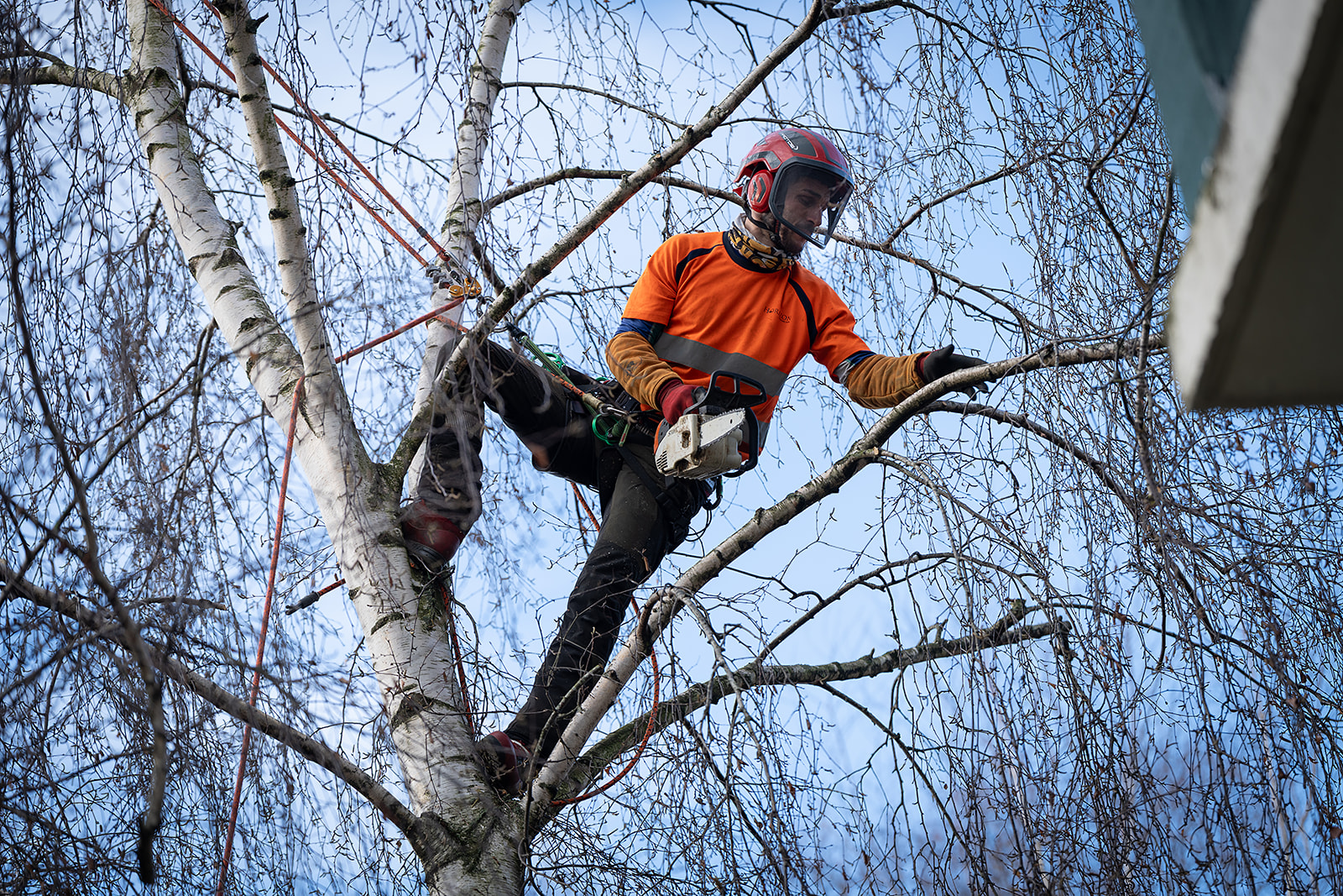 Horizon2025 12 16 11 36 33 3 websize