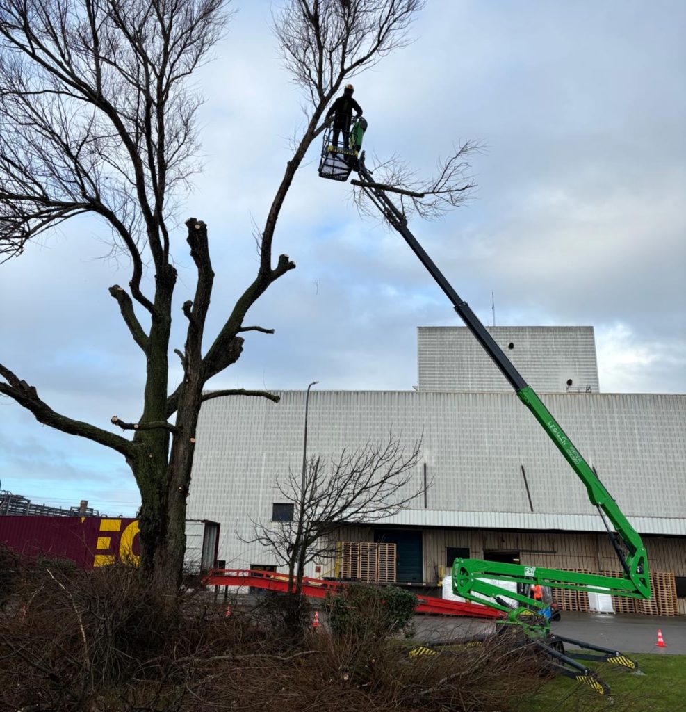 Horizon Espaces Verts nacelle Leguan Lift 225